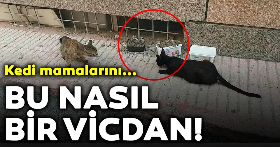 bu nasil bir vicdan mama kabina beton