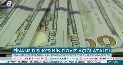 Finans dışı kesimin döviz açığı azaldı