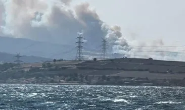 Çanakkale Gelibolu’da orman yangını! Köyler tahliye ediliyor #canakkale