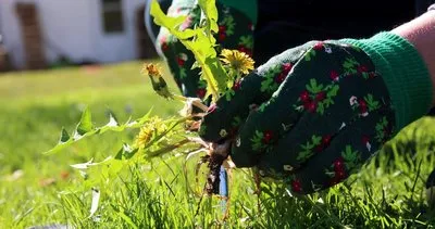 Vücudun en çok ihtiyaç duyduğu en sağlıklı besinler 1000 çeşit arasından seçildiler! İşte dünyanın en sağlıklı besinleri...