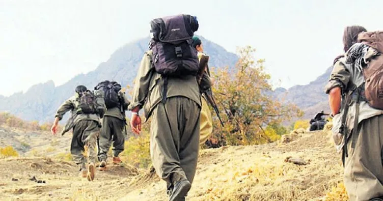 Şırnak’ta 2 PKK’lı terörist etkisiz hale getirildi