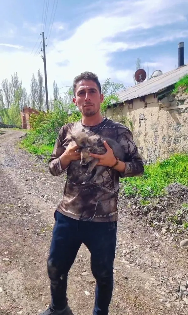 erzurumda-yurek-isitan-olay-ahirinda-buldugu-yavrulari-sutle-besledikten-sonra-yetkililere-teslim-etti-1746109162096.jpg