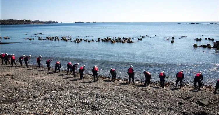 Tsunamiyle 1 milyon deniz canlısı ABD kıyılarına taşındı