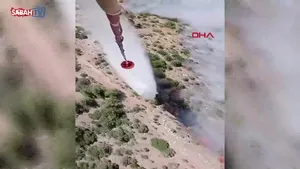 İzmir’de orman yangını! | Video