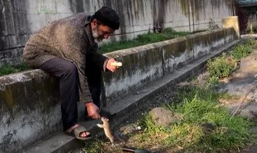 Samsun'da farelerle kurduğu arkadaşlık ile biliniyordu! Şeref Yeşilbaş otobüs durağında ölü bulundu #samsun