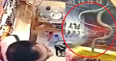 İstanbul Kapalıçarşı’da yılan paniği! Dükkanın tavanından sarkarak böyle saldırıya geçti | Video