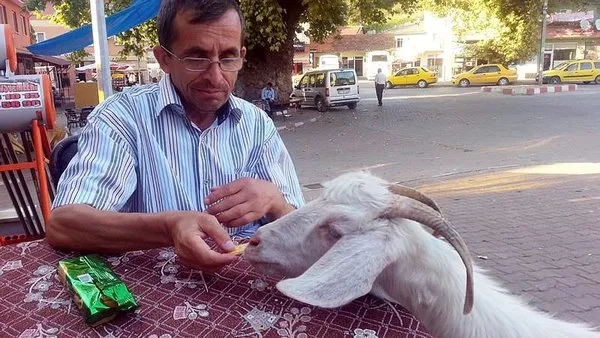 Son 24 saatte yurttan 3. sayfa haberleri (08.09.2015)