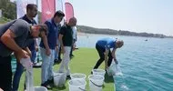 Yavru sazanlar 12 ilde 129 göl ve gölete bırakıldı