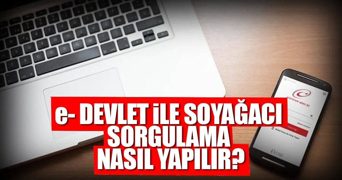 E Devlet Soyagaci Sorgulama Nasil Yapilir Alt Ust Soy Bilgisi Ogrenme Son Dakika Haberler
