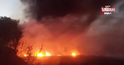 Güney Kıbrıs’ta orman yangını: 5 köy tahliye edildi | Video