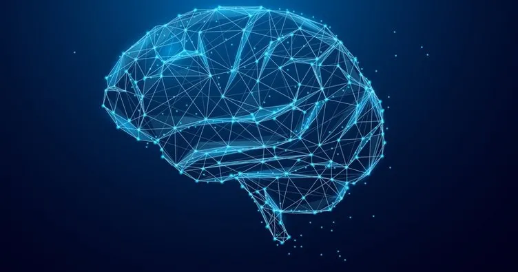 Beynin Görevleri Ve Bölümleri- Sol Ve Sağ Beyin Nedir, Yapısı, İşlevi Ve Özellikleri Neler?