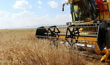 Erzurum’da tarıma tohum ve fide desteği