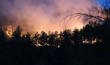 Karabük’deki orman yangına karadan müdahale ediliyor