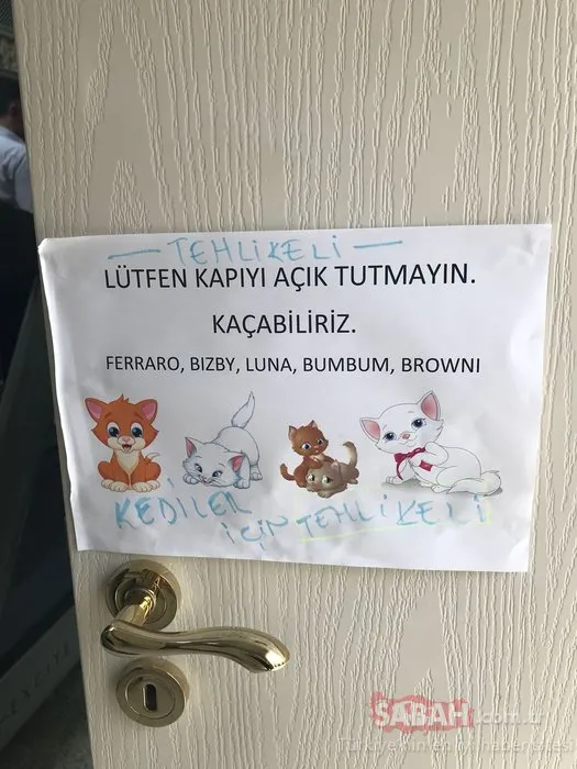 İÅte operasyon sonrasında Oktarâın villasından ilk görüntüler