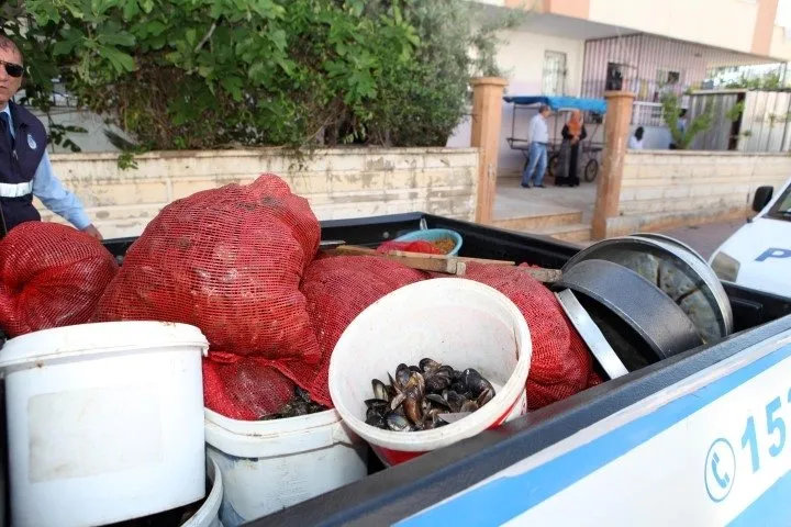 Antalya’da küflenmiş midye dolma operasyonu
