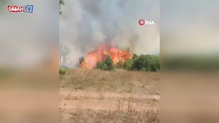 Gebze'de orman yangını başladı | Video