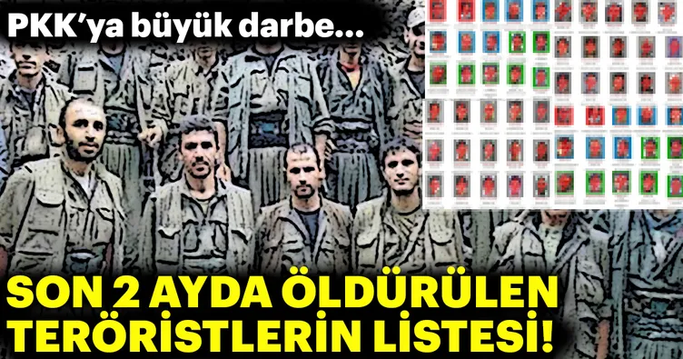 2 ayda öldürülen teröristlerin listesi