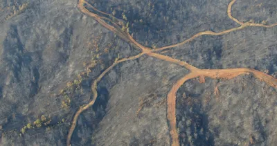 Son dakika: Marmaris yangınında ne kadar alan zarar gördü? Bakan Kirişci son durumu paylaştı