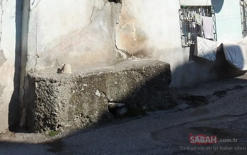Çorum’da, gövdesi evin duvarından çıkan armut ağacı görenleri şaşırtıyor. Çorum’da, gövdesi evin duvarından çıkan armut ağacı görenleri şaşırtıyor.