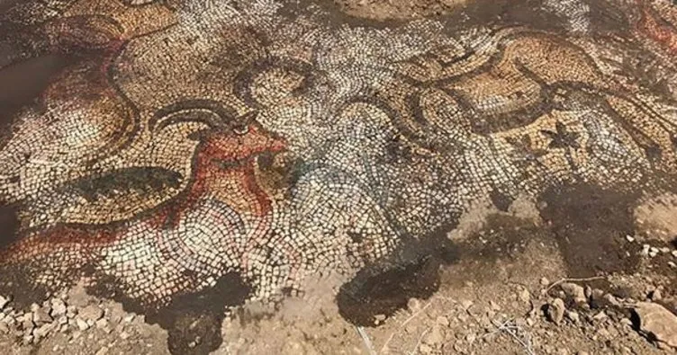 Adıyaman’da 1600 yıllık mozaik bulundu