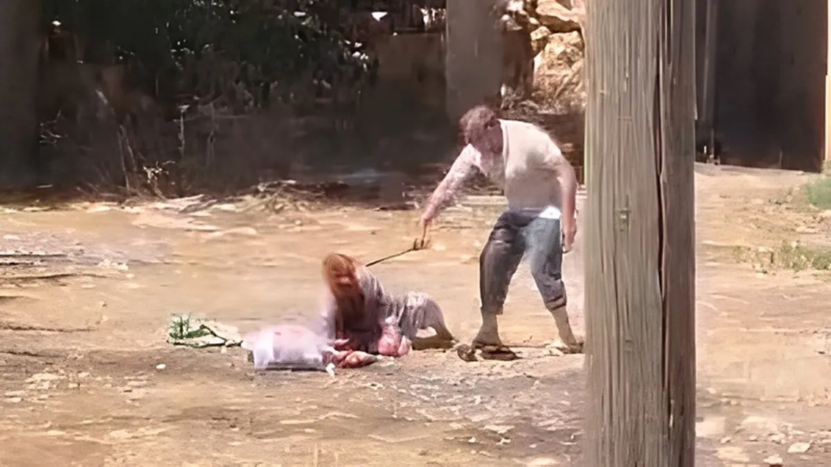 Vicdansız evlat dehşeti haber görseli