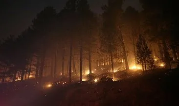 Kaz Dağları’nda yangın! Çok sayıda ekip müdahale ediyor