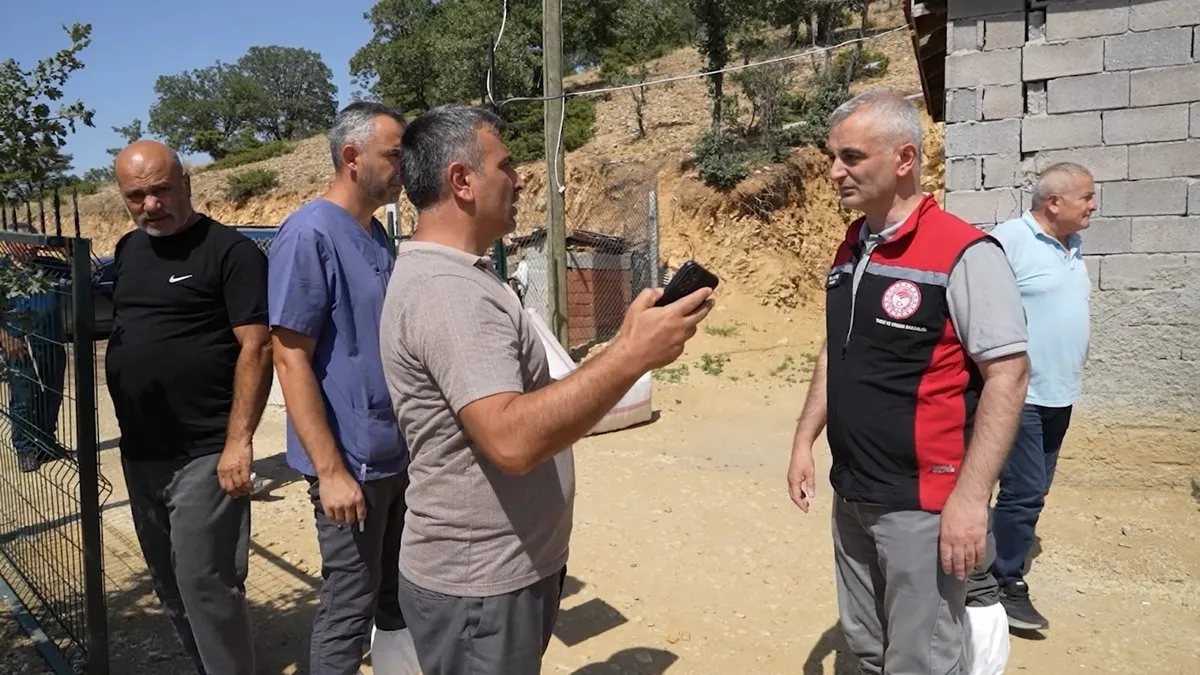 Kırıkkale’de gizemli hayvan ölümleri! 210 küçükbaş telef oldu