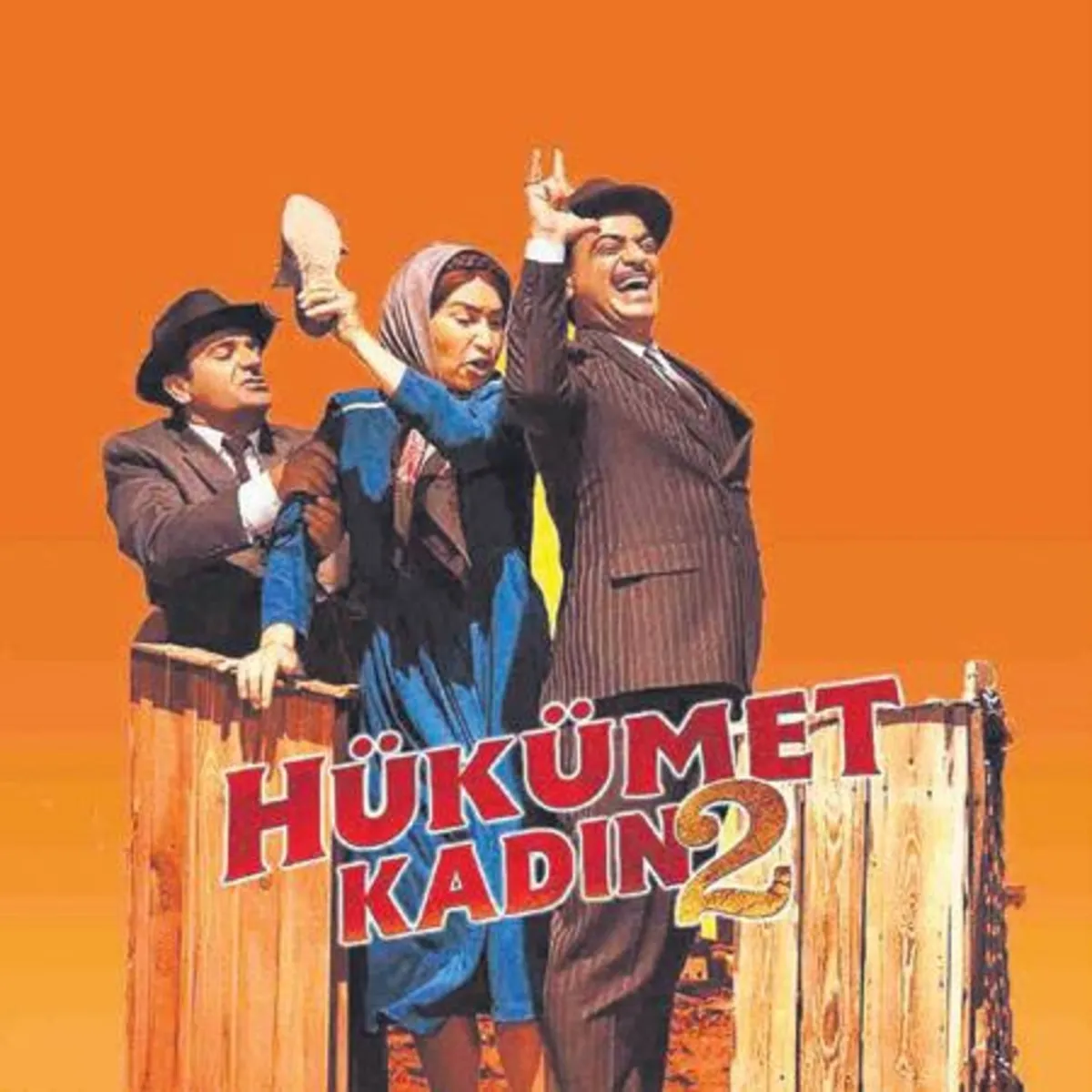 Hükümet Kadın 2