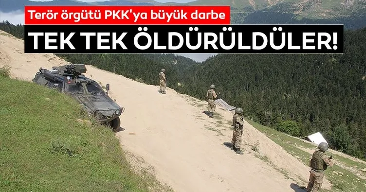 Karadeniz’de PKK’ya büyük darbe vuruldu