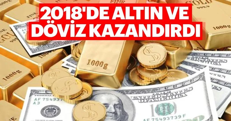 2018 De Altin Ve Doviz Kazandirdi Haberler Haberleri