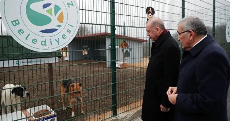SON DAKİKA: Başıboş köpek sorunu ile ilgili Başkan Erdoğan’dan net mesaj: Takipçisiyim, gereğini yapacağız