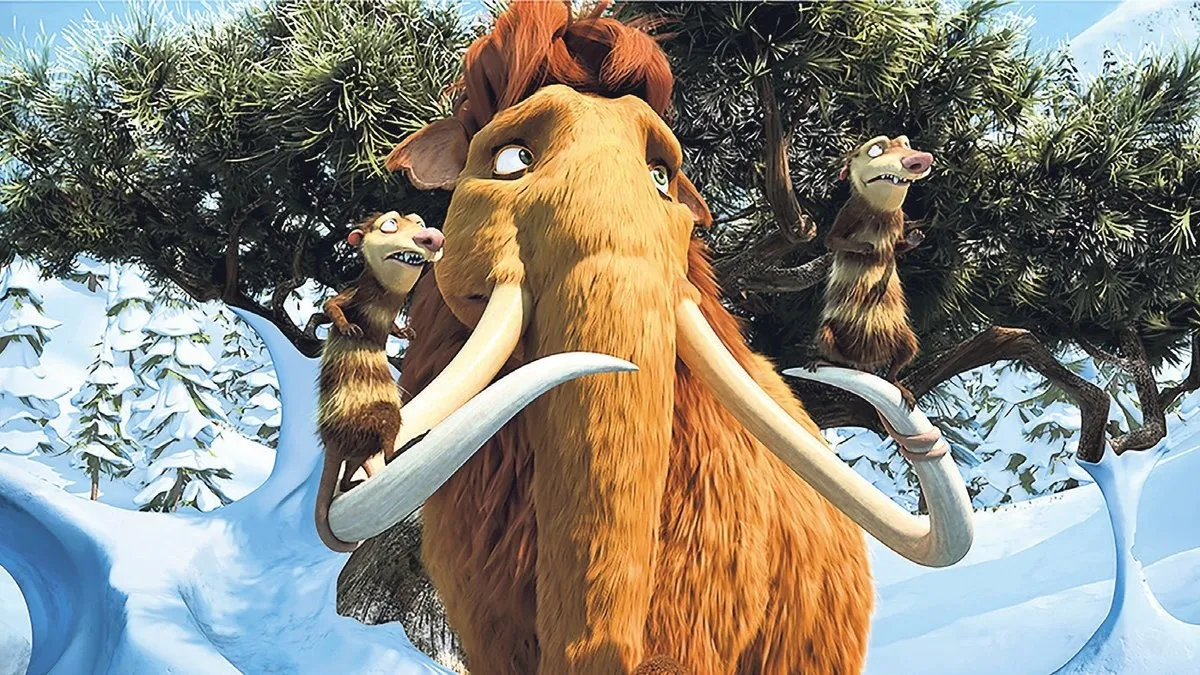 Yabancı Film