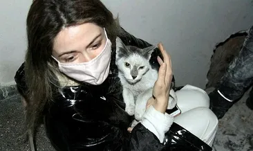 Depremde kaybolan kedisine kavuştu