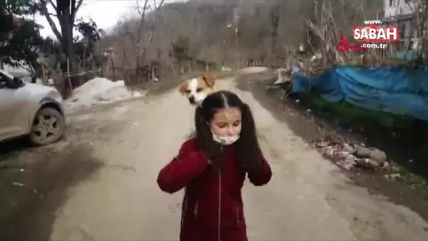 Türkiye Ordu'da hastalanan köpeğini sırtında taşıyarak veterinere götüren Cemre Su Türköz'ün görüntülerini konuşuyor | Video