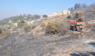 Datça yangınının acı bilançosu! 700 hektar küle döndü #mugla