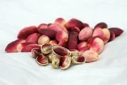 Antep Fıstığı Kabuksuz Kaç Kalori? Antep Fıstığı Kabuksuz Kaç Kalori?
