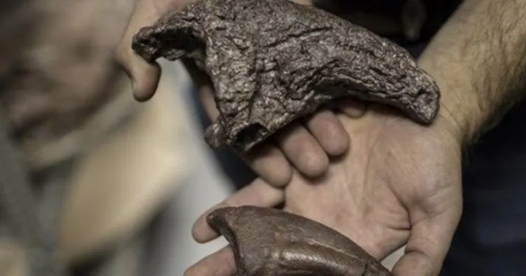 Moğolistan’da 120 milyon yıllık dınozor fosili bulundu
