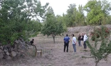 Kayseri’de 92 yaşındaki Musa Mete, budama yapmak için çıktığı ağaçtan düşerek öldü #kayseri