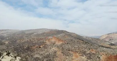 Kahramanmaraş merkezli deprem dağları yerinden oynattı! Toprak kütleleri heyelanlara neden oldu