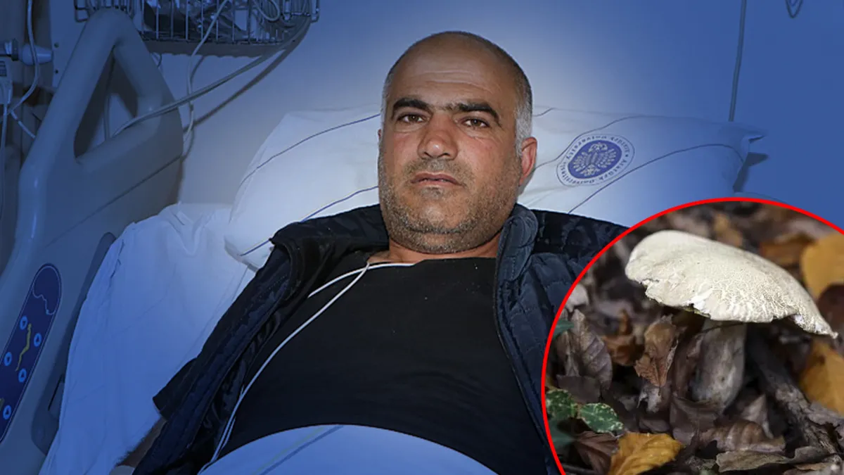 Erzurum'da mantar zehirlenmesi sonrası yoğun bakımda tedavi gören bir hasta