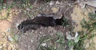 Bahçede tüyler ürperten anlar!