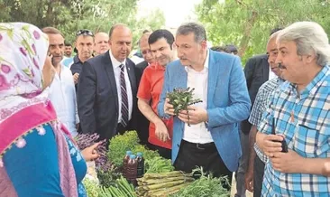 Tire’nin otları görücüye çıktı