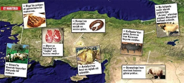 Türkiye’nin et haritası