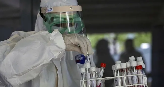 pcr testi nedir nasil ve nereden