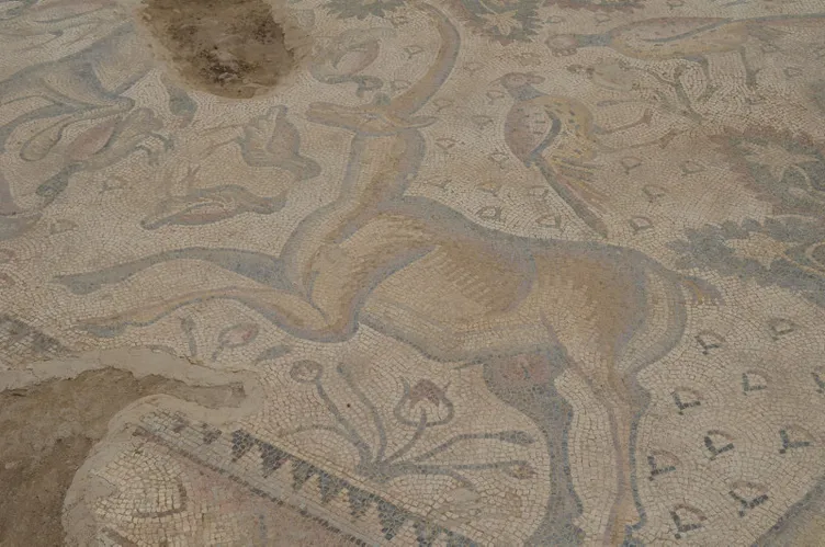 Tarlasında buldu: Tek parça halinde ve gerçekten etkileyici bir eser!