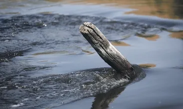 Nilüfer zehir değil bereket taşıyacak