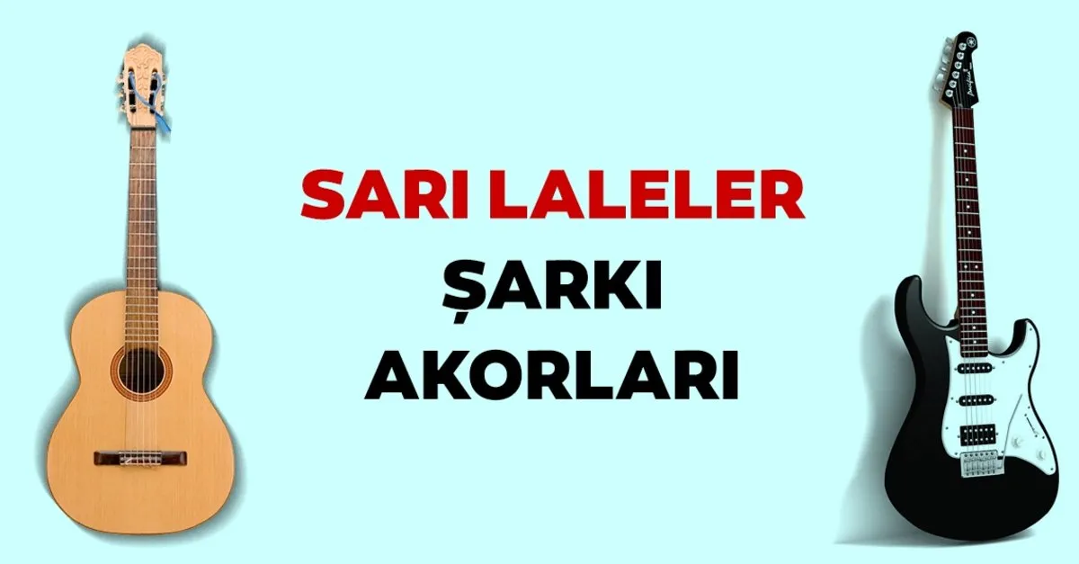 mfo sari laleler sarki akorlari burada sari laleler kolay akor ve orijinal ton kultur sanat haberleri