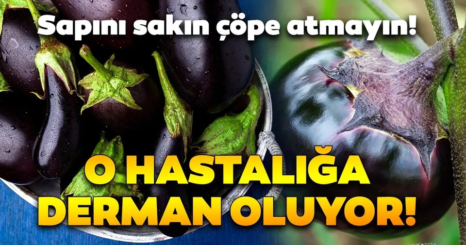 mucize besin patlican sapinin