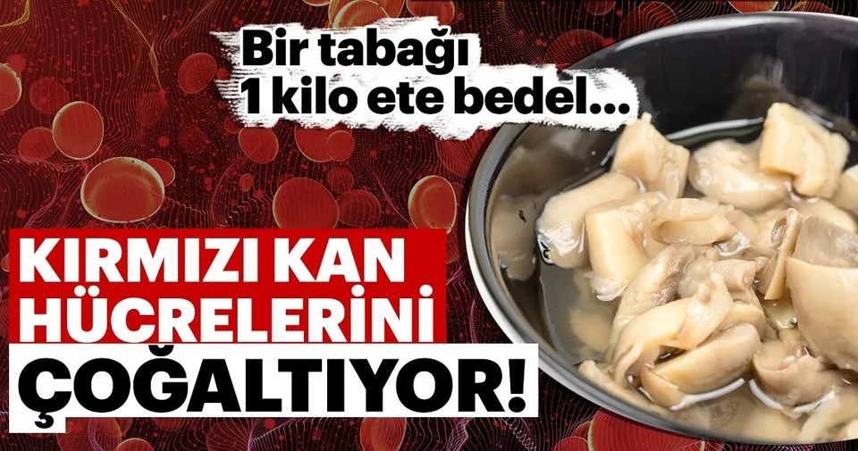 bu besinler b12 vitamini deposu iste