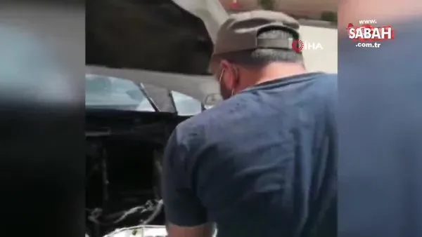 Otomobile giren yılanı çıplak elleriyle çıkardı | Video